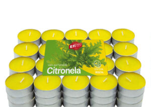 vela citronela tealights