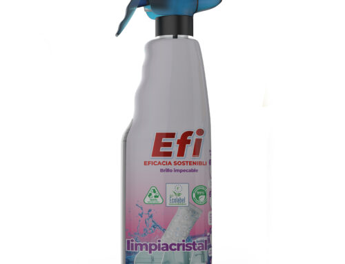 EFI E-KAPS Rechargeable Windscreen Cleaner