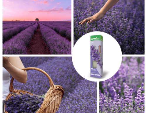 Natural fragrances for the home: the trend for 2025