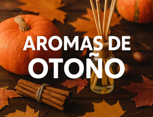 Herbstdüfte, beduften Sie Ihr Zuhause mit alkoholfreiem Mikados